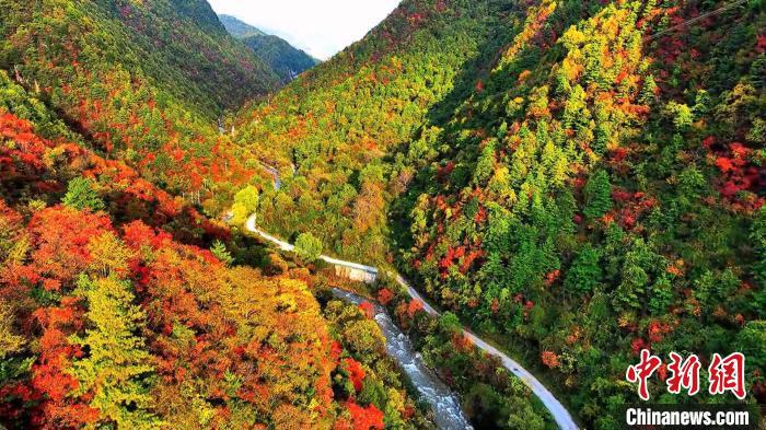 d14935f4ca669b852ddcd0a11b7be474.jpg d14935f4ca669b852ddcd0a11b7be474.jpg