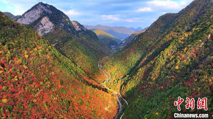 c9fe8157e5eda44b996cf10de71b53e3.jpg c9fe8157e5eda44b996cf10de71b53e3.jpg